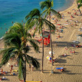 Unlock the Most Innovative Business Ideas in Hawaii