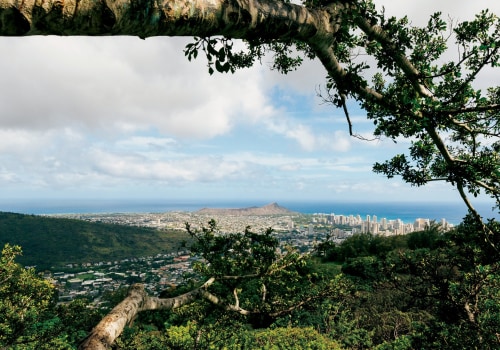 5 Areas to Research Before Starting a Business in Hawaii
